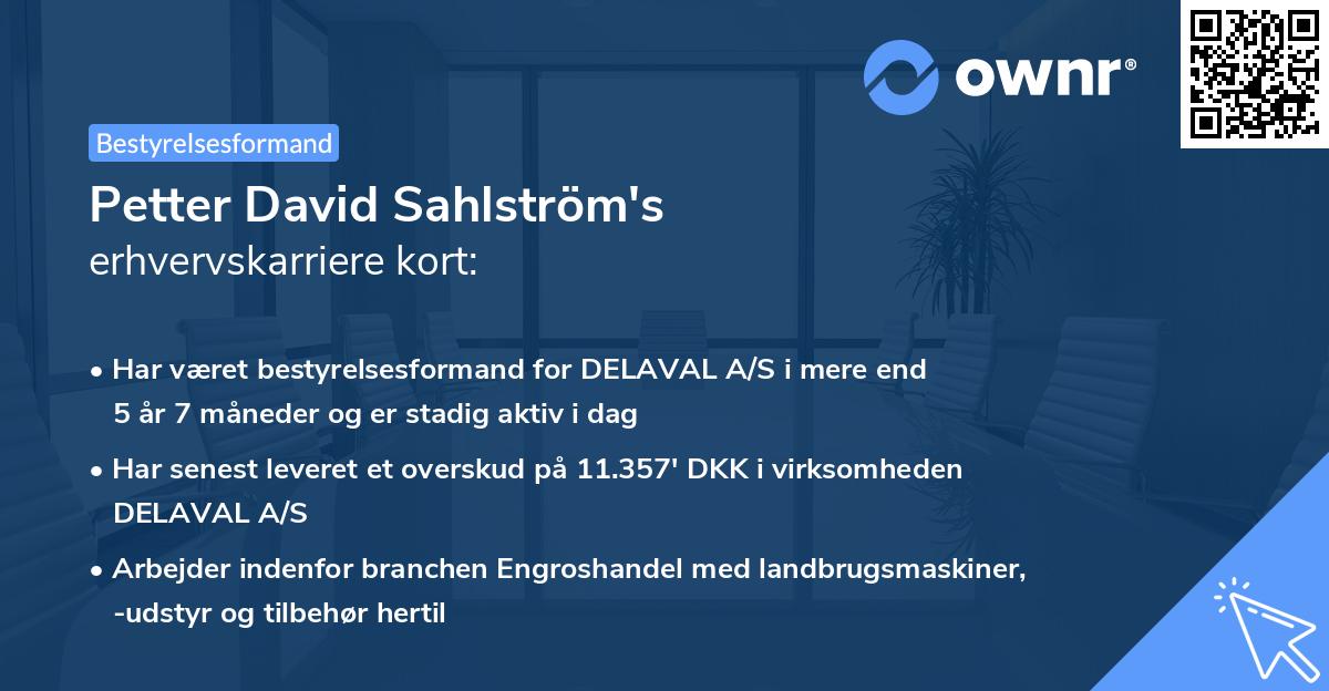 Petter David Sahlström's erhvervskarriere kort