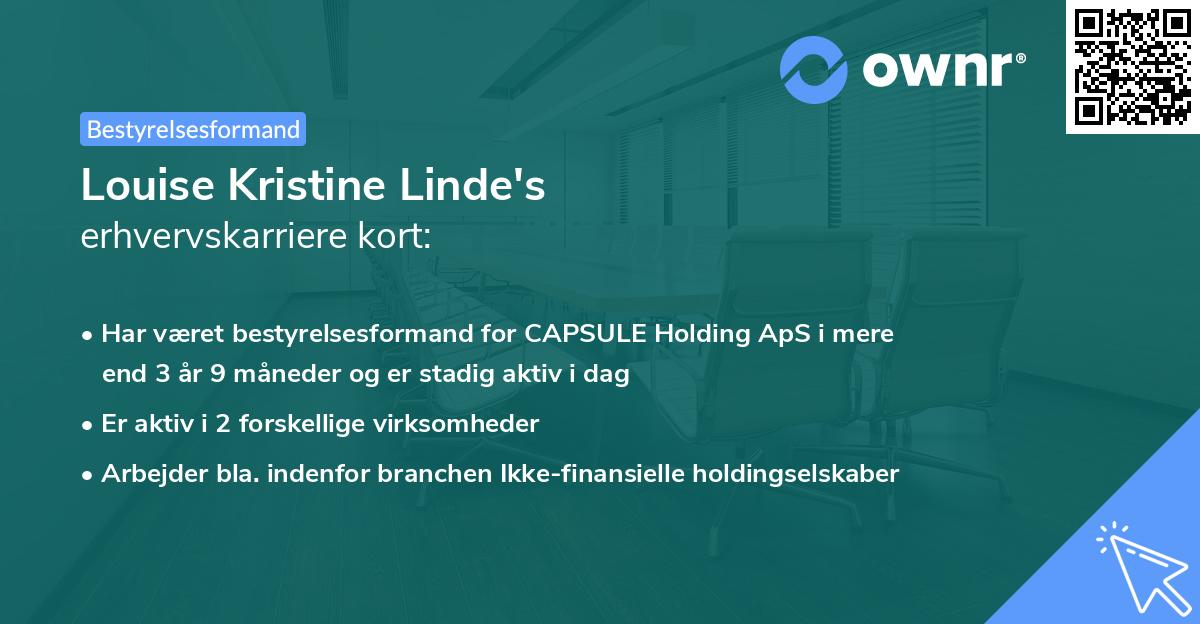 Louise Kristine Linde's erhvervskarriere kort