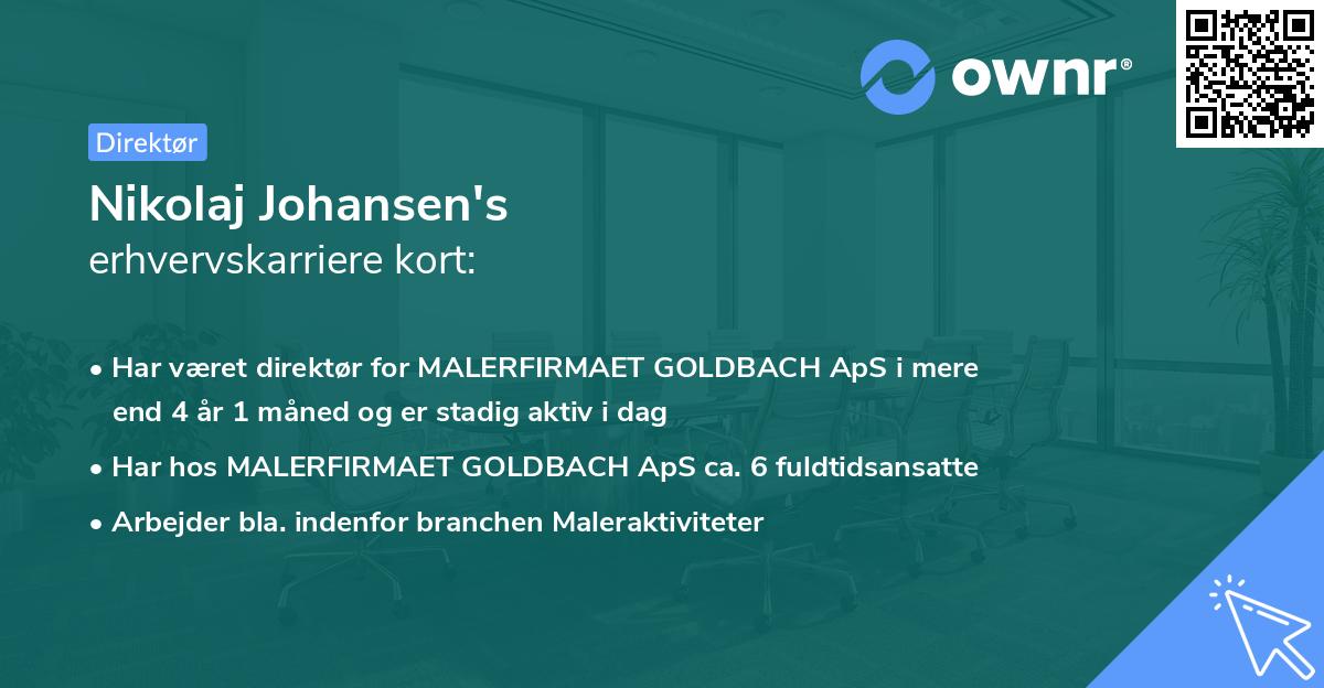 Nikolaj Johansen's erhvervskarriere kort