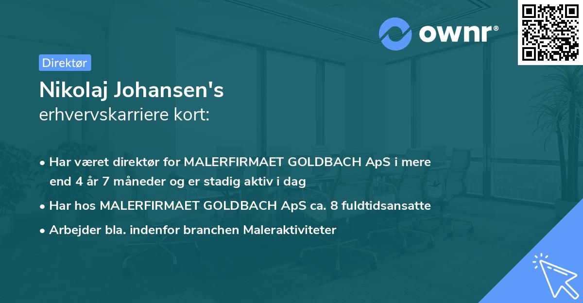Nikolaj Johansen's erhvervskarriere kort