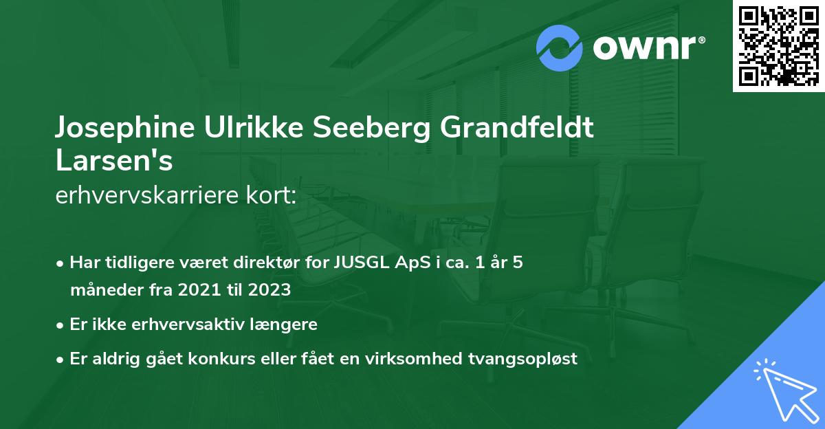 Josephine Ulrikke Seeberg Grandfeldt Larsen's erhvervskarriere kort