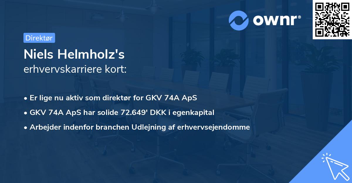 Niels Helmholz's erhvervskarriere kort
