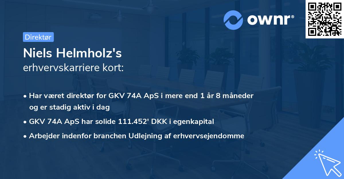 Niels Helmholz's erhvervskarriere kort