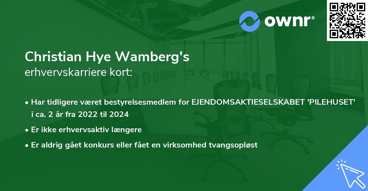 Christian Hye Wamberg's erhvervskarriere kort