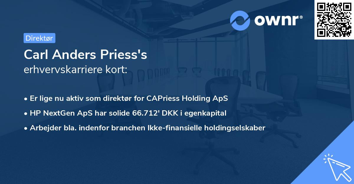 Carl Anders Priess's erhvervskarriere kort