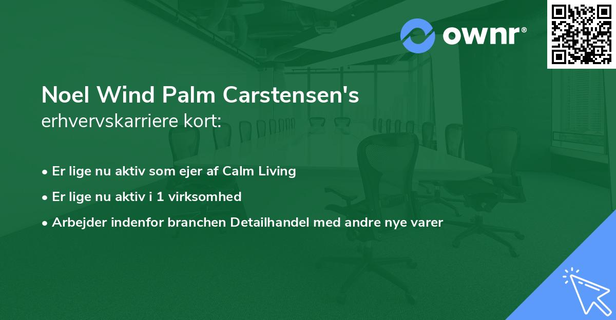 Noel Wind Palm Carstensen's erhvervskarriere kort