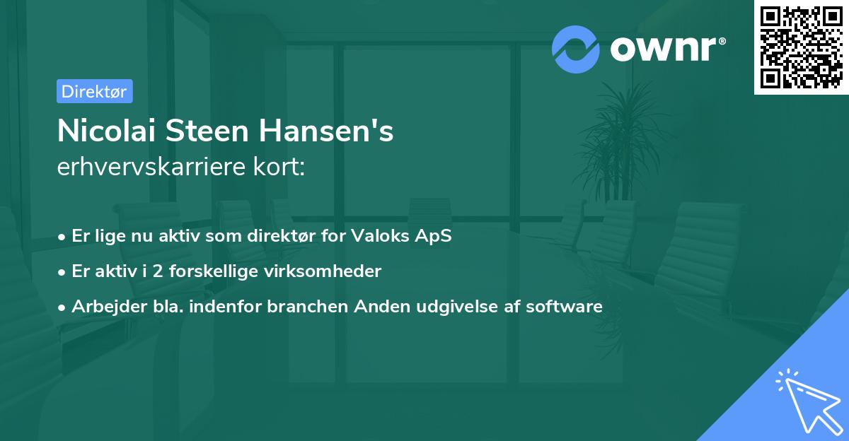 Nicolai Steen Hansen's erhvervskarriere kort