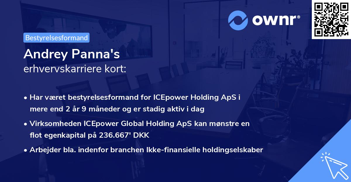 Andrey Panna's erhvervskarriere kort