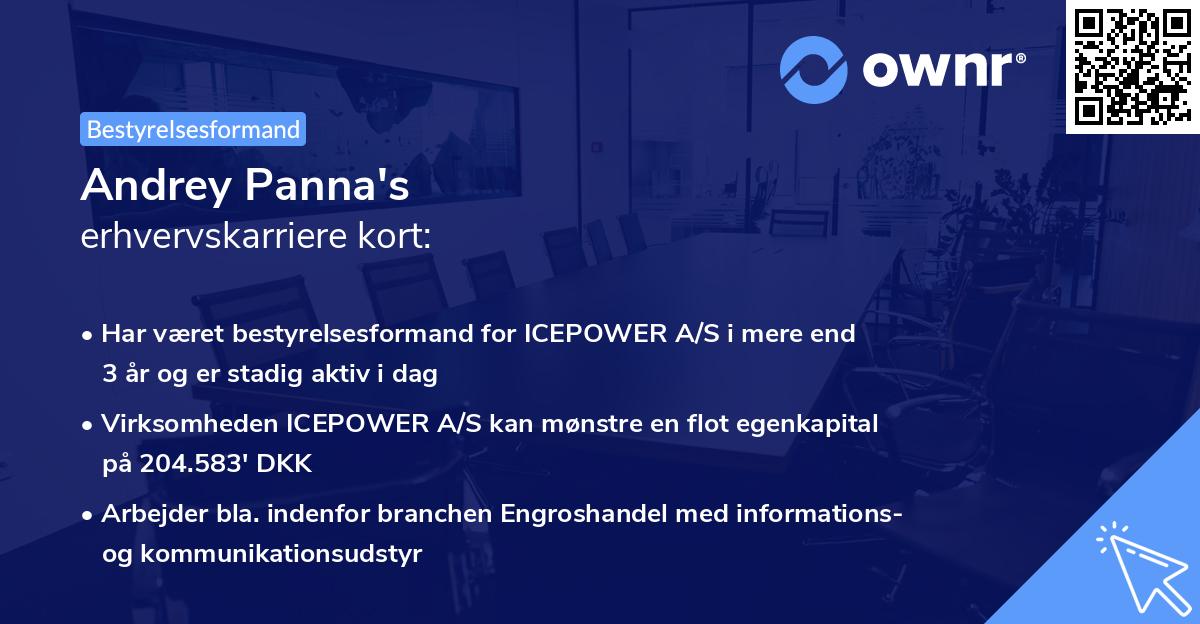 Andrey Panna's erhvervskarriere kort
