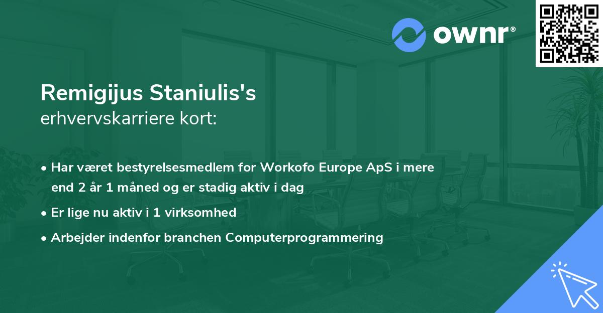 Remigijus Staniulis's erhvervskarriere kort