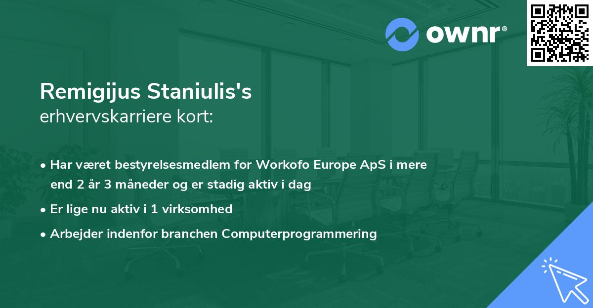 Remigijus Staniulis's erhvervskarriere kort