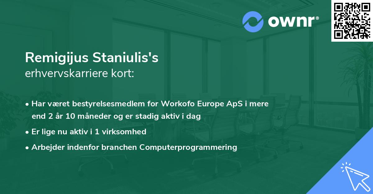 Remigijus Staniulis's erhvervskarriere kort