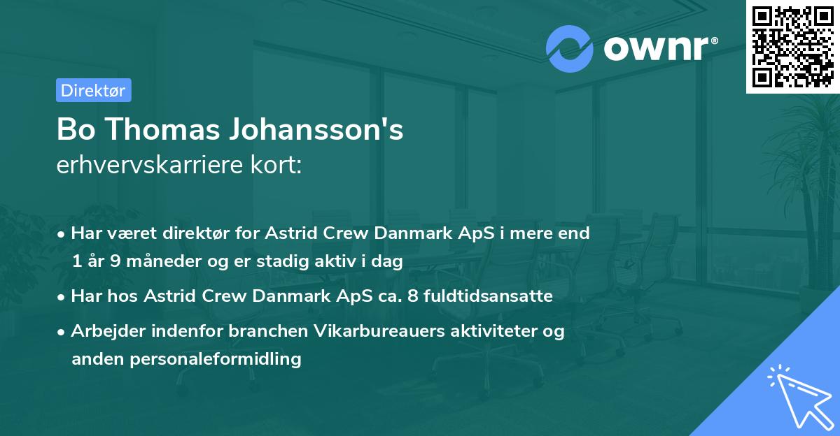 Bo Thomas Johansson's erhvervskarriere kort