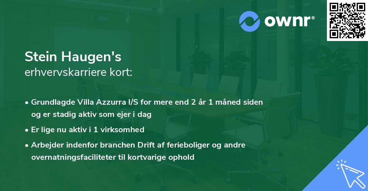 Stein Haugen's erhvervskarriere kort