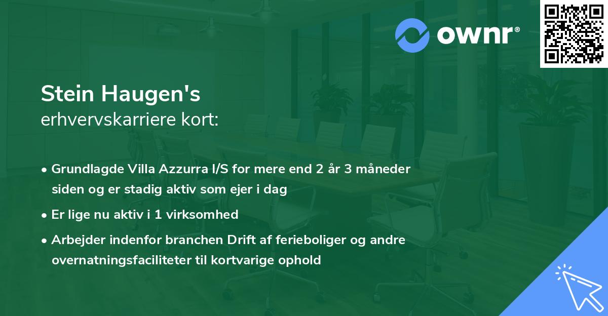Stein Haugen's erhvervskarriere kort