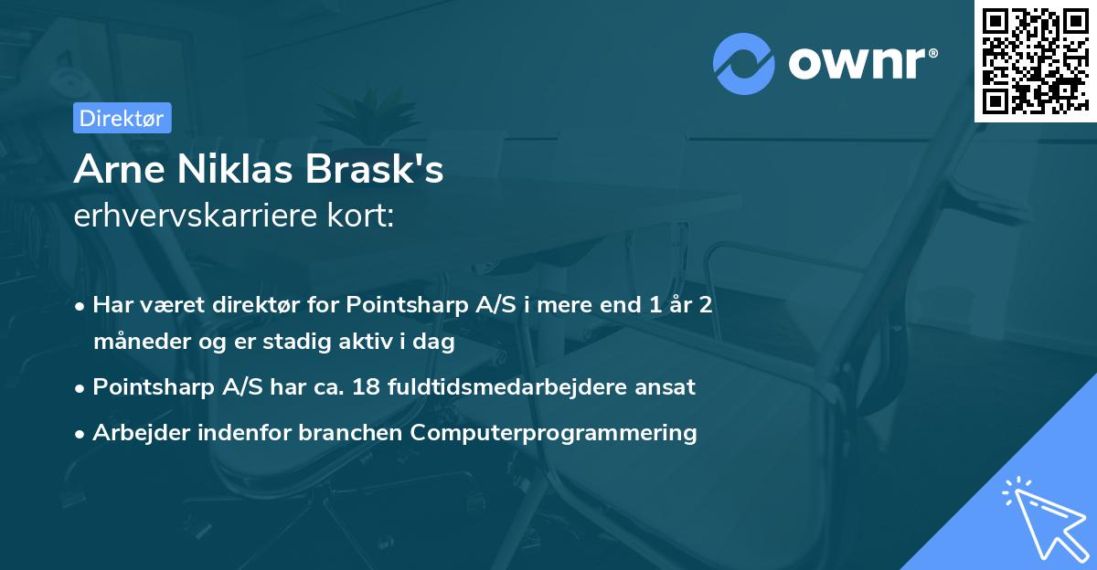 Arne Niklas Brask's erhvervskarriere kort
