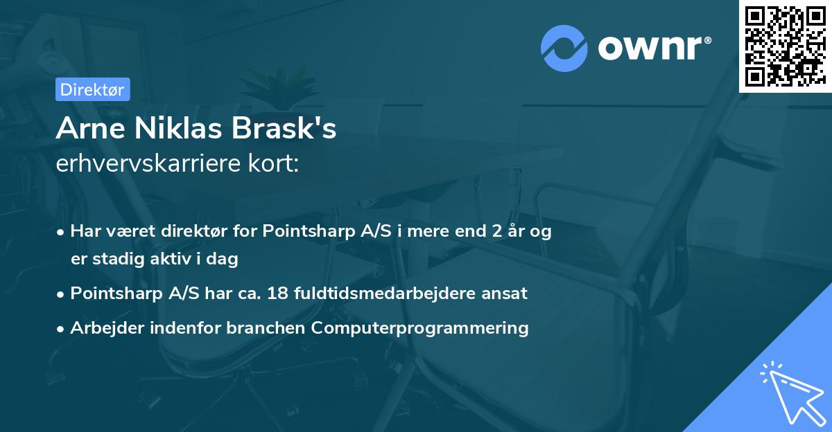 Arne Niklas Brask's erhvervskarriere kort