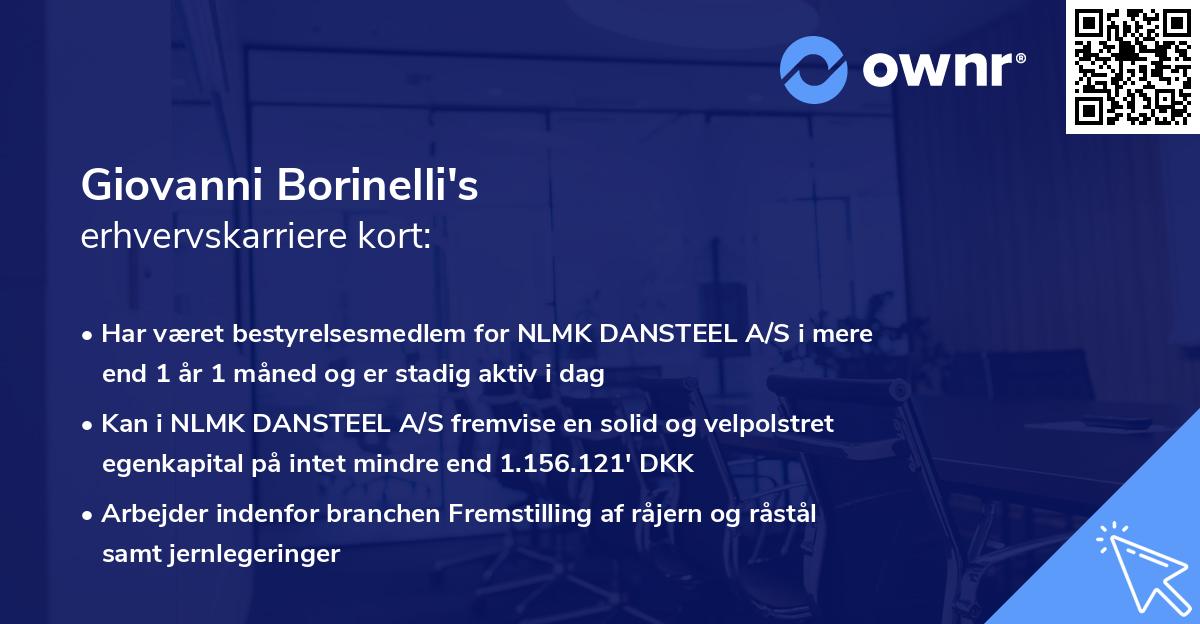 Giovanni Borinelli's erhvervskarriere kort