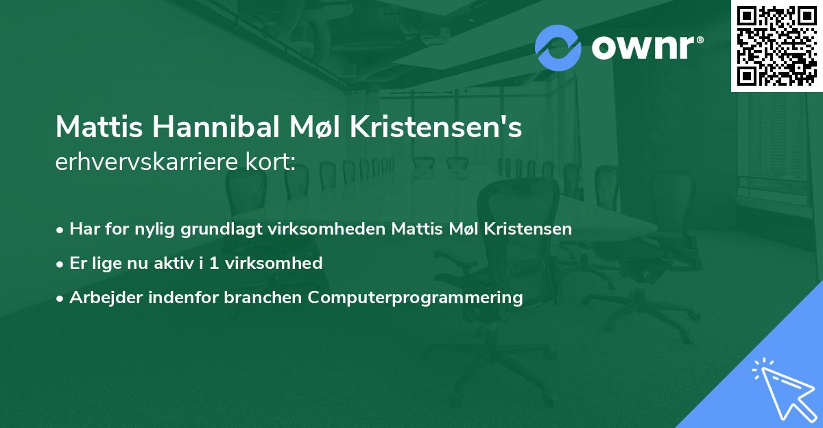 Mattis Hannibal Møl Kristensen's erhvervskarriere kort