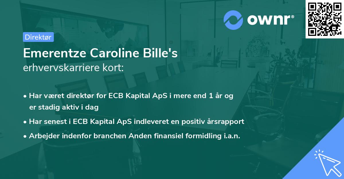 Emerentze Caroline Bille's erhvervskarriere kort