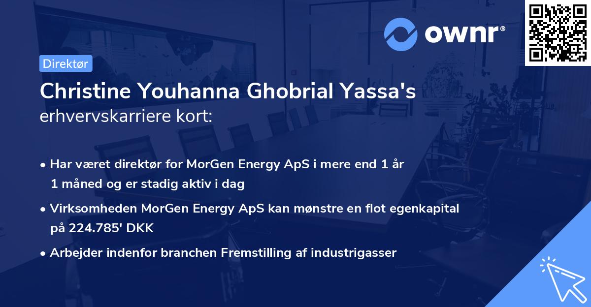 Christine Youhanna Ghobrial Yassa's erhvervskarriere kort