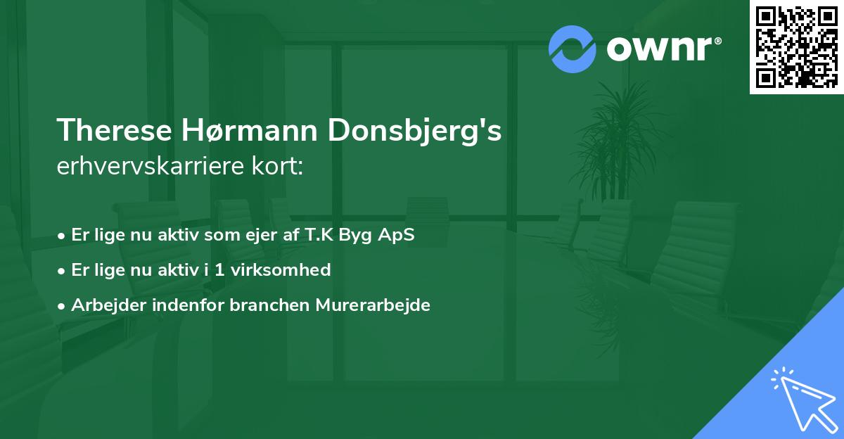 Therese Hørmann Donsbjerg's erhvervskarriere kort