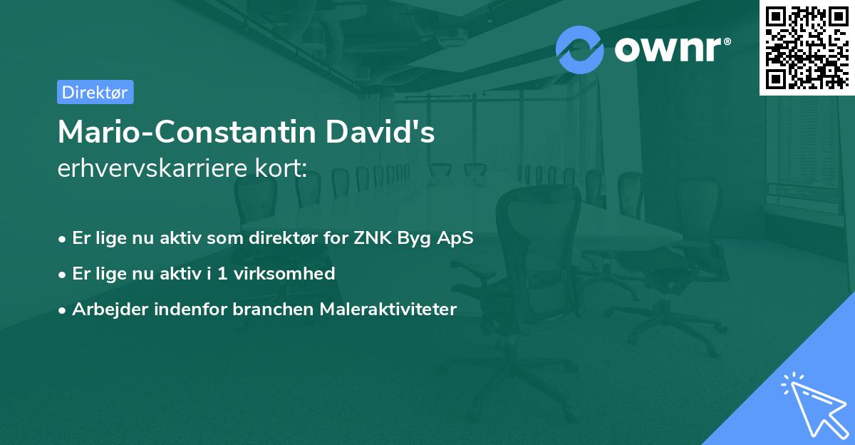 Mario-Constantin David's erhvervskarriere kort