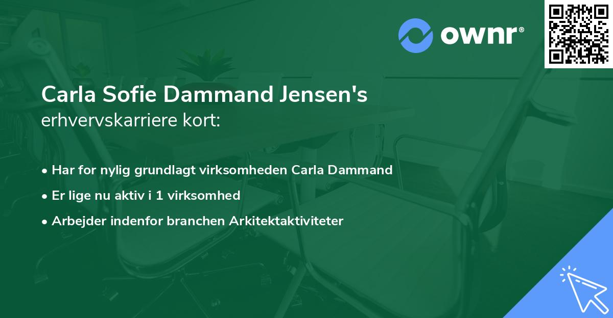 Carla Sofie Dammand Jensen's erhvervskarriere kort