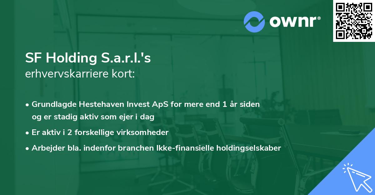 SF Holding S.a.r.l.'s erhvervskarriere kort