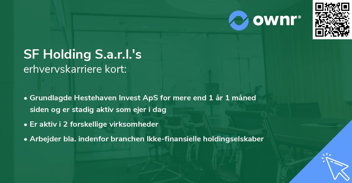 SF Holding S.a.r.l.'s erhvervskarriere kort