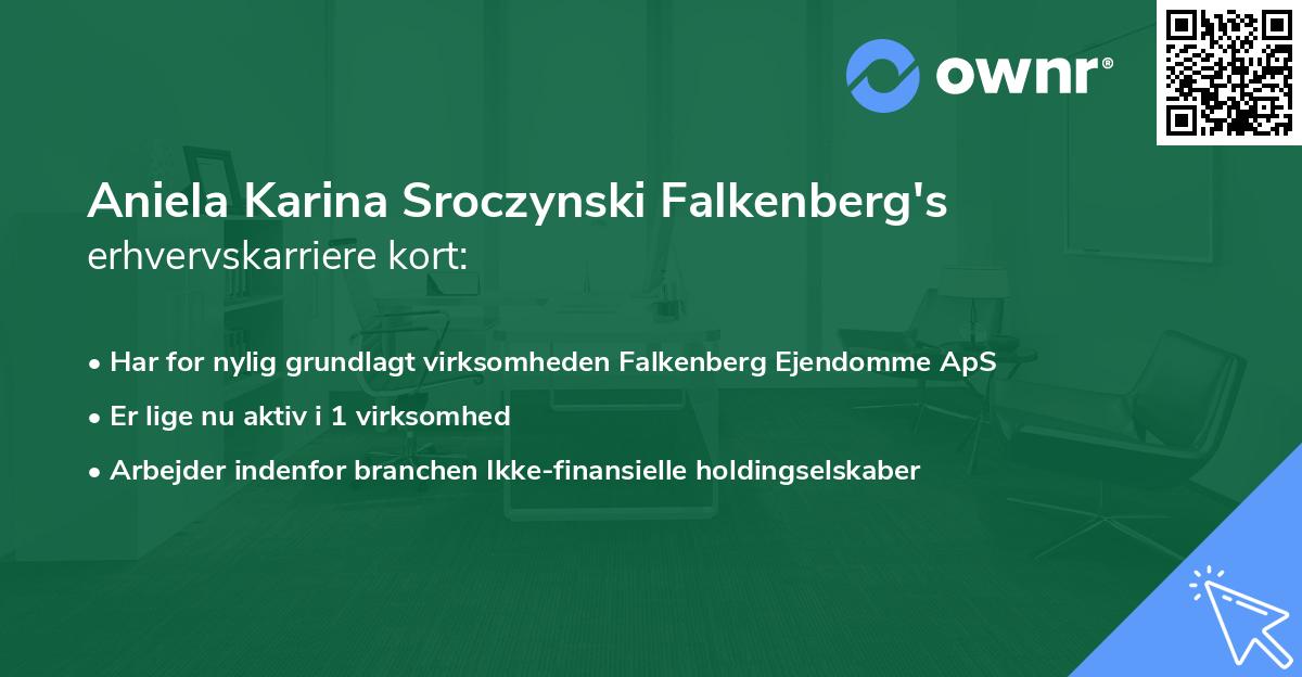 Aniela Karina Sroczynski Falkenberg's erhvervskarriere kort