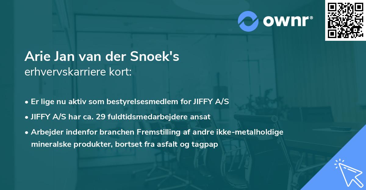 Arie Jan van der Snoek's erhvervskarriere kort