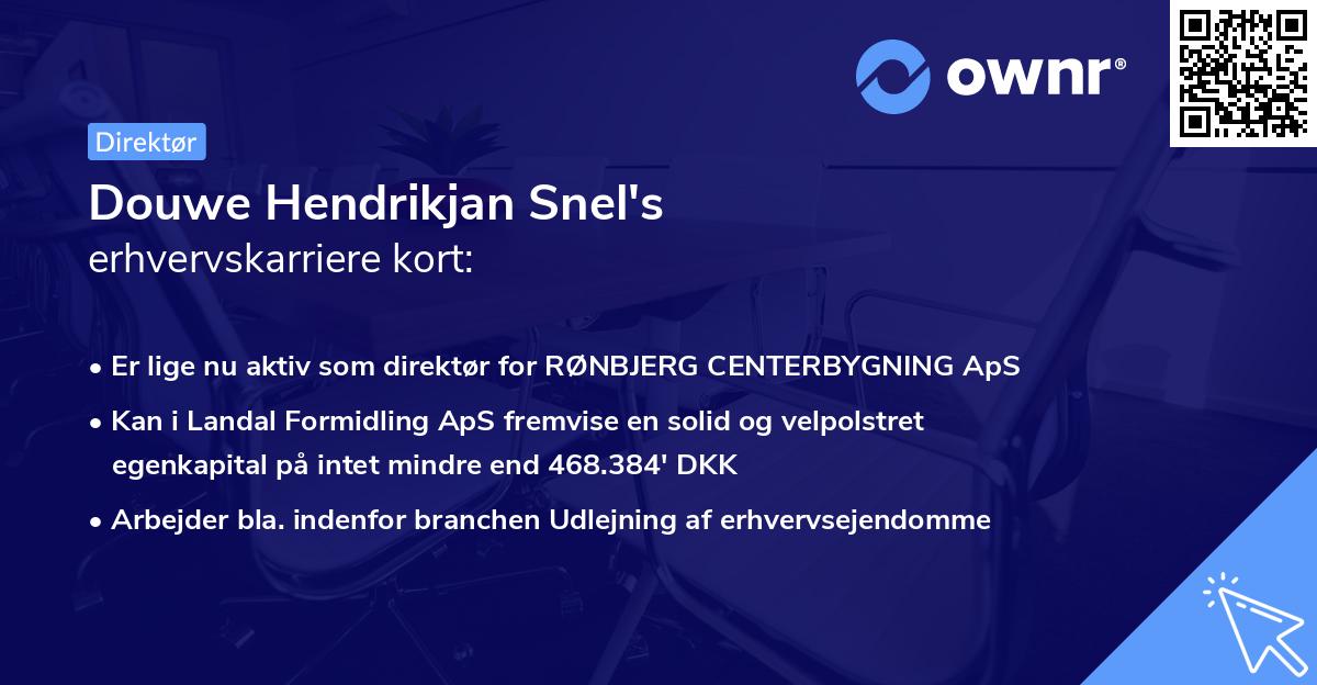 Douwe Hendrikjan Snel's erhvervskarriere kort