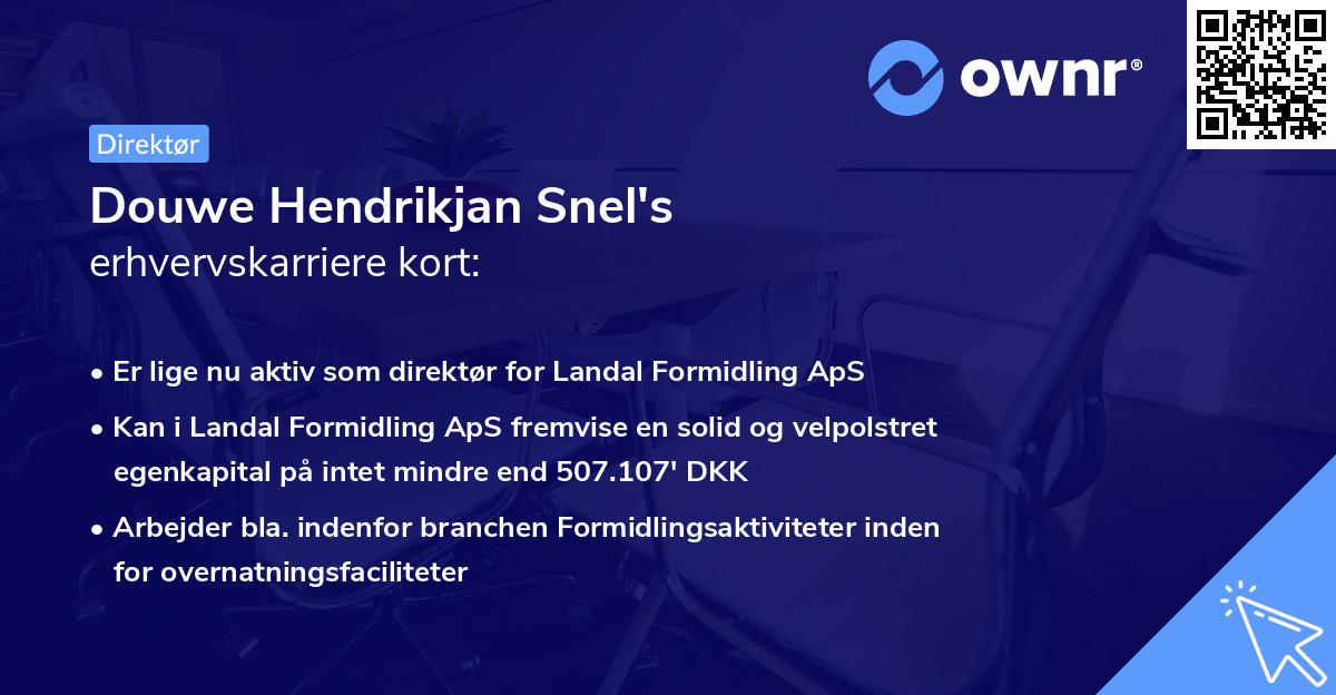 Douwe Hendrikjan Snel's erhvervskarriere kort