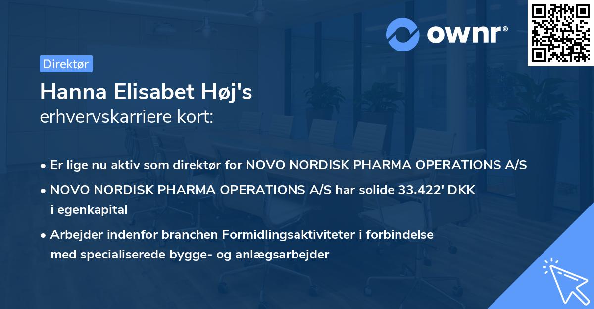 Hanna Elisabet Høj's erhvervskarriere kort