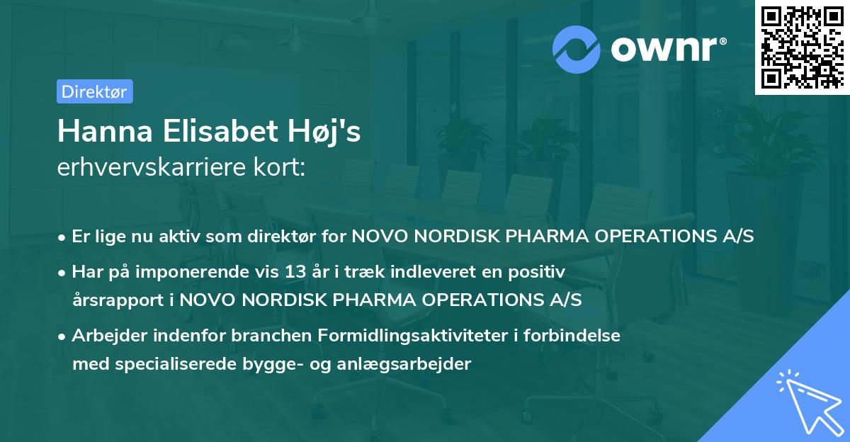 Hanna Elisabet Høj's erhvervskarriere kort