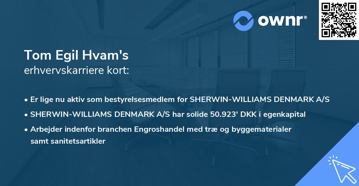 Tom Egil Hvam's erhvervskarriere kort