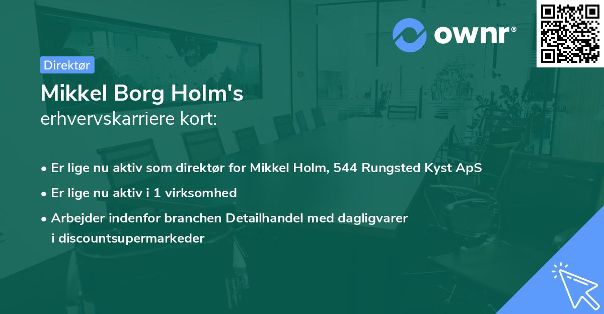 Mikkel Borg Holm's erhvervskarriere kort