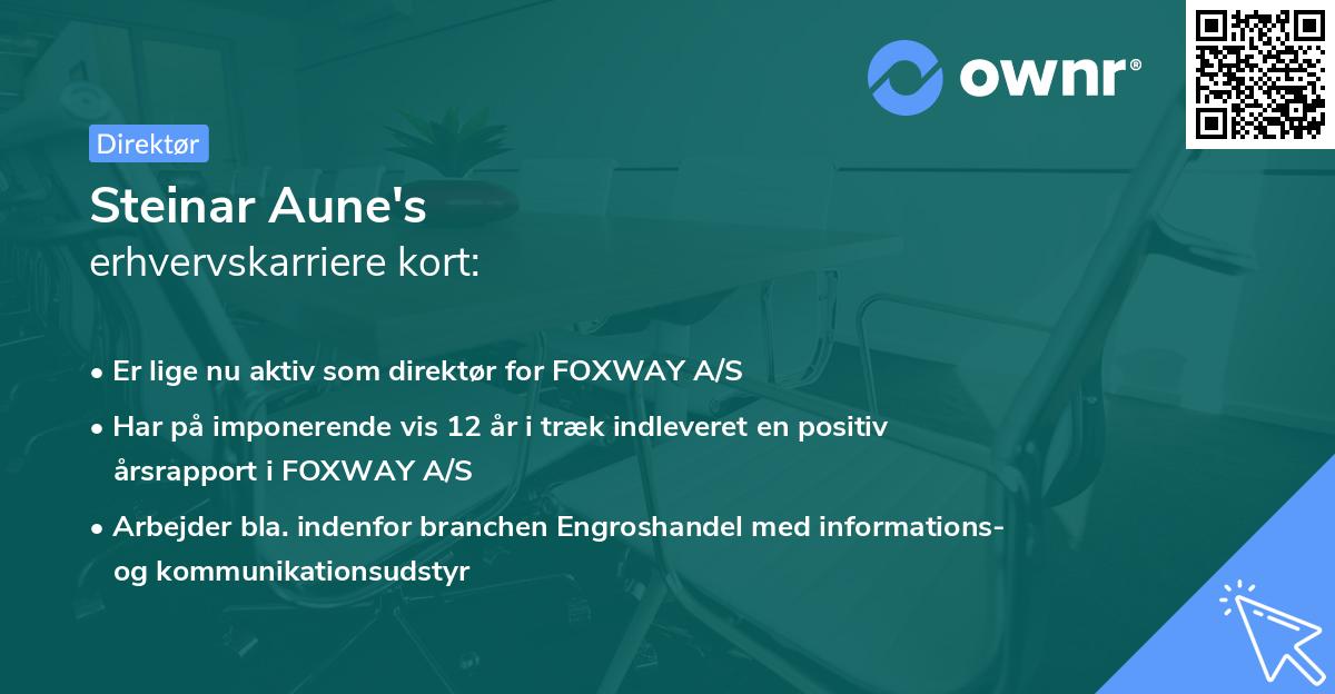 Steinar Aune's erhvervskarriere kort