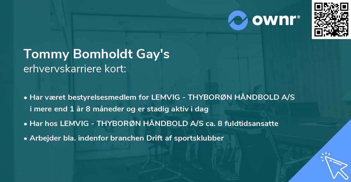 Tommy Bomholdt Gay's erhvervskarriere kort