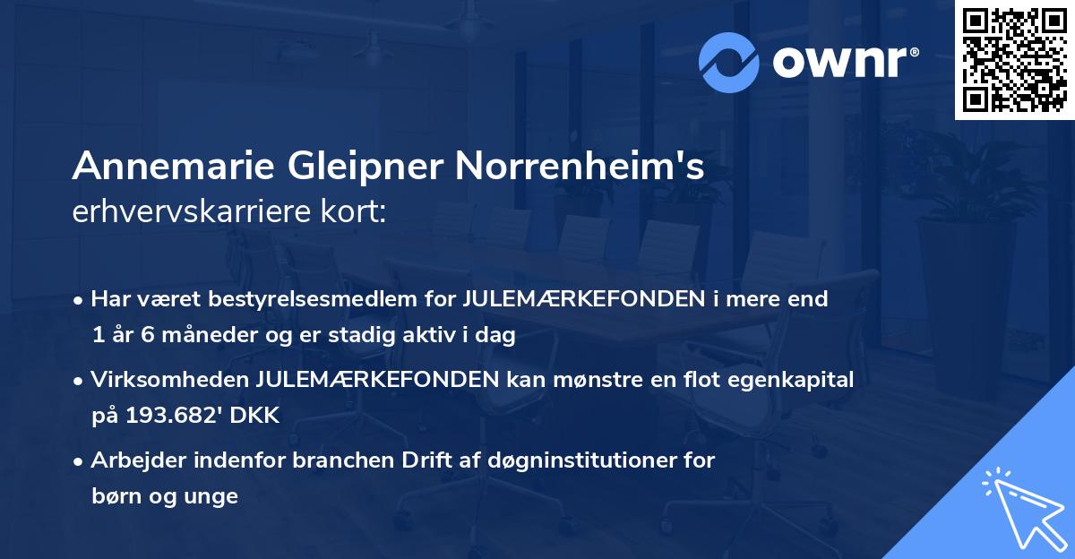Annemarie Gleipner Norrenheim's erhvervskarriere kort