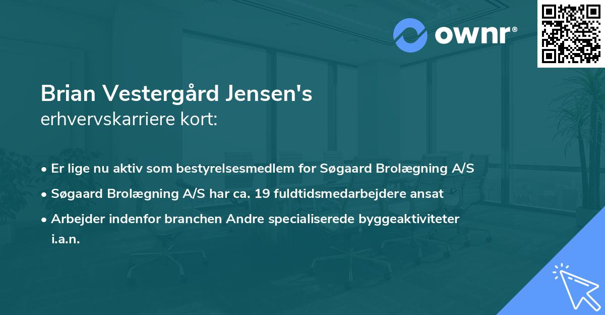Brian Vestergård Jensen's erhvervskarriere kort