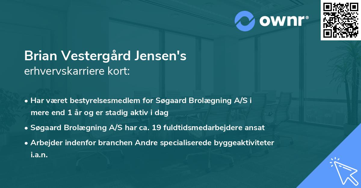 Brian Vestergård Jensen's erhvervskarriere kort