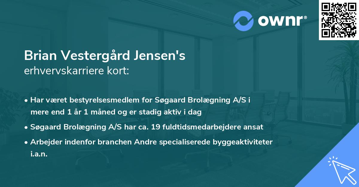 Brian Vestergård Jensen's erhvervskarriere kort
