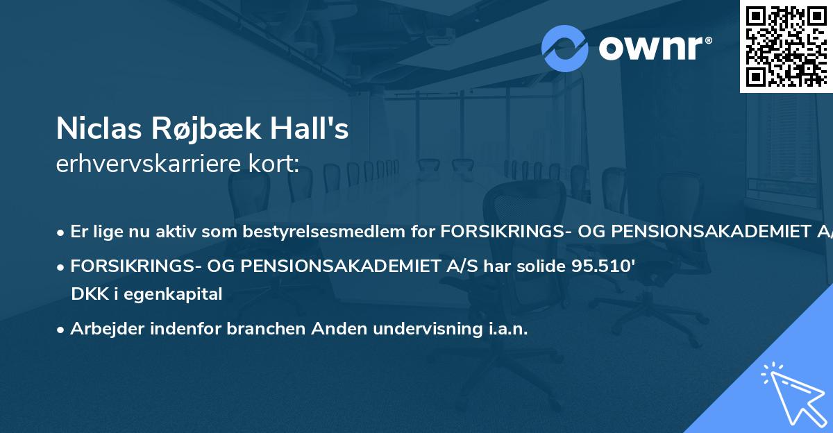 Niclas Røjbæk Hall's erhvervskarriere kort