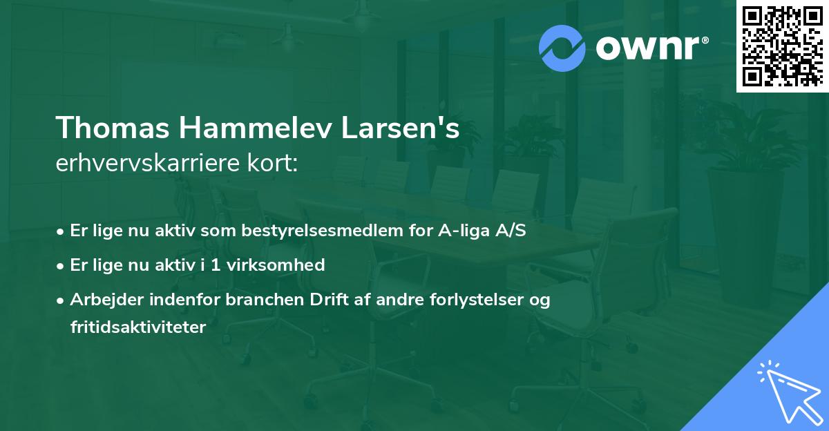 Thomas Hammelev Larsen's erhvervskarriere kort