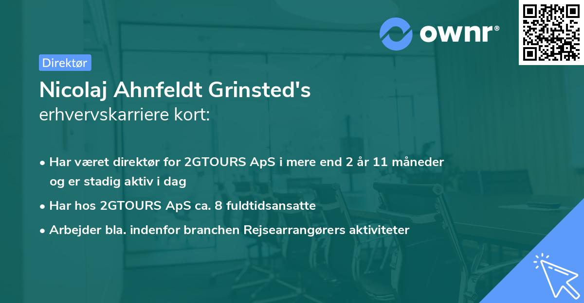 Nicolaj Ahnfeldt Grinsted's erhvervskarriere kort