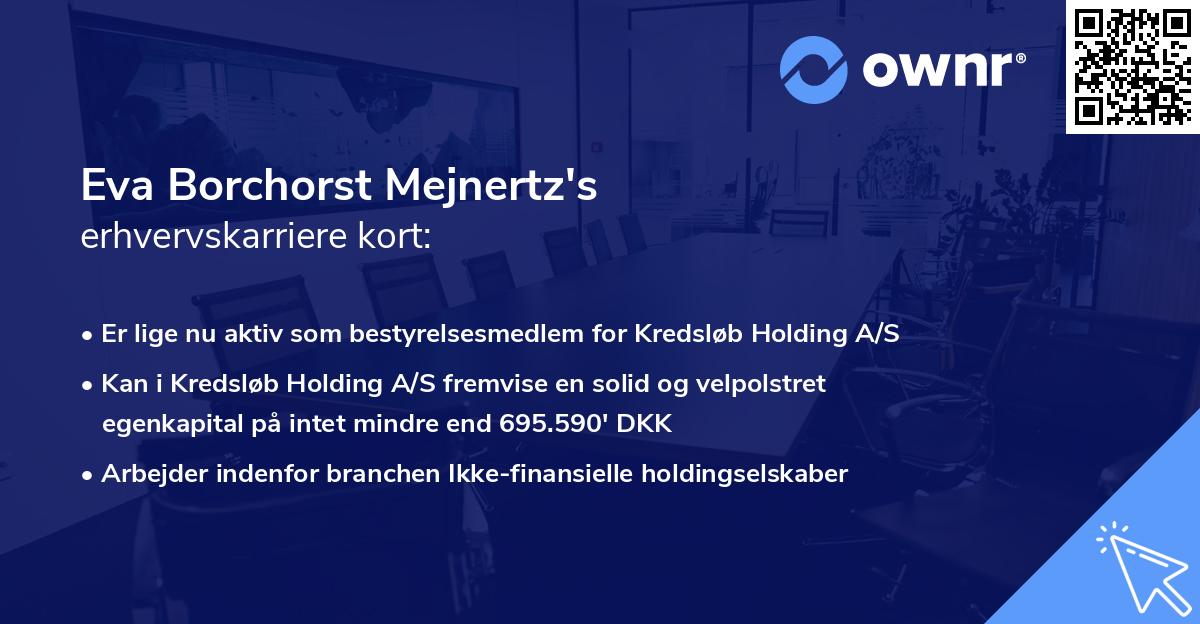 Eva Borchorst Mejnertz's erhvervskarriere kort