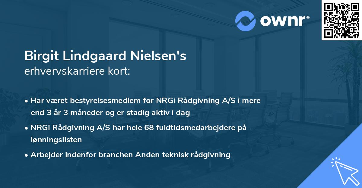 Birgit Lindgaard Nielsen's erhvervskarriere kort