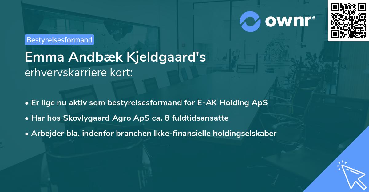 Emma Andbæk Kjeldgaard's erhvervskarriere kort